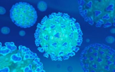 ¿PARÓ LA DISMINUCIÓIN DEL CORONAVIRUS EN COLOMBIA?