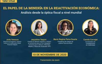 Taller virtual ll El papel de la minería en la reactivación económica: análisis desde la óptica fiscal a nivel mundial