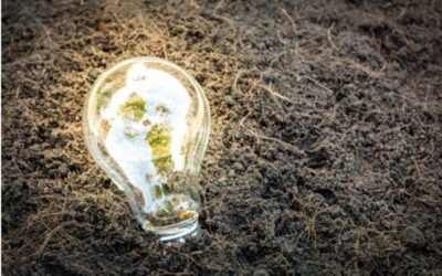 LAS SUBASTAS DE ENERGÍAS RENOVABLES VAN CONTRA LA INDUSTRIALIZACIÓN DEL PAÍS